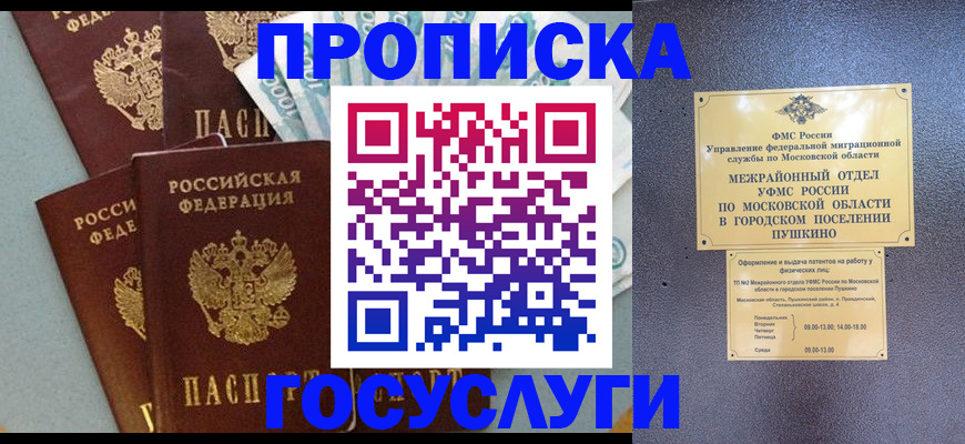 прописка гарантия в Соколе